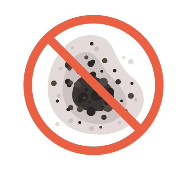 Best Basement Mold Removal  in Chena Ridge, AK