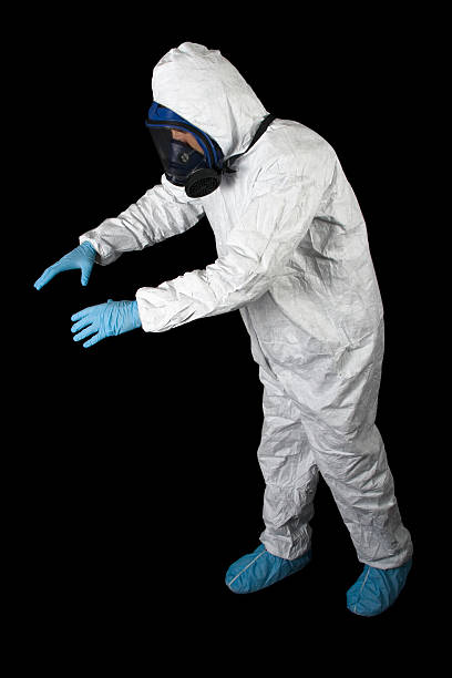 Best Black Mold Removal  in Chena Ridge, AK