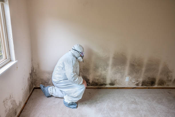 Best Mold Remediation for Healthcare Facilities  in Chena Ridge, AK